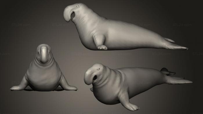 Статуэтки животных (Морской слон, STKJ_0264) 3D модель для ЧПУ станка